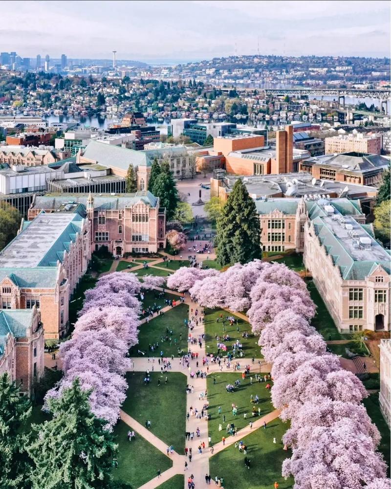 科罗拉多矿业大学